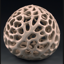 Curved Coral img_1947.jpg