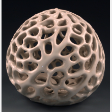 Curved Coral img_1947.jpg